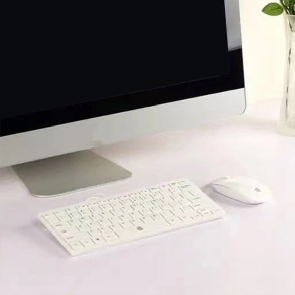 For Apple iMac 24 inch Black Screen Non-Working Fake Dummy Display Model(Silver)