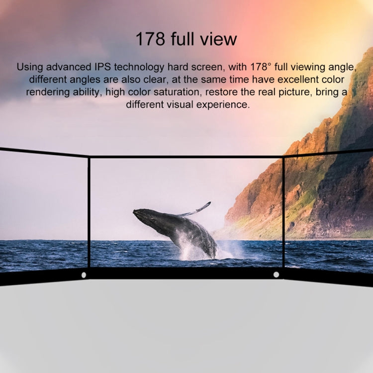 15.6 inch 1080P 178 Degree Wide Angle HD Portable IPS LED Display Monitor