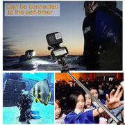 PULUZ 20 LEDs 40m Water-resistant IPX8 Studio Light Video & Photo Light with Hot Shoe Base Adapter & Quick Release Buckle & Long Screw & 2 x Filter Plates for GoPro HERO10 Black / HERO9 Black / HERO8 Black ... n /4 /3+ /3 /2 /1, Xiaoyi and Other Action Cameras