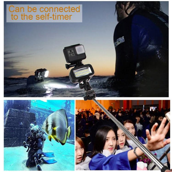 PULUZ 20 LEDs 40m Water-resistant IPX8 Studio Light Video & Photo Light with Hot Shoe Base Adapter & Quick Release Buckle & Long Screw & 2 x Filter Plates for GoPro HERO10 Black / HERO9 Black / HERO8 Black ... n /4 /3+ /3 /2 /1, Xiaoyi and Other Action Cameras