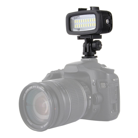 PULUZ 20 LEDs 40m Water-resistant IPX8 Studio Light Video & Photo Light with Hot Shoe Base Adapter & Quick Release Buckle & Long Screw & 2 x Filter Plates for GoPro HERO10 Black / HERO9 Black / HERO8 Black ... n /4 /3+ /3 /2 /1, Xiaoyi and Other Action Cameras