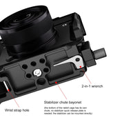 For  Sony A6700 PULUZ Metal Camera Cage Stabilizer Rig (Black)