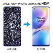 RPS0310B_5.jpg@eacff538080c8422eeeb69fbafe2e4f2