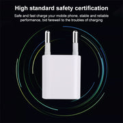 A2165 5V 1A Single USB Interface Mini Travel Charger, EU Plug(White)