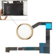 Original Home Button Flex Cable for iPad Air 2 / 6(Gold) - iPad Air Parts by PMC TechLife | Online Shopping South Africa | PMC TechLife | Buy Now Pay Later Mobicred