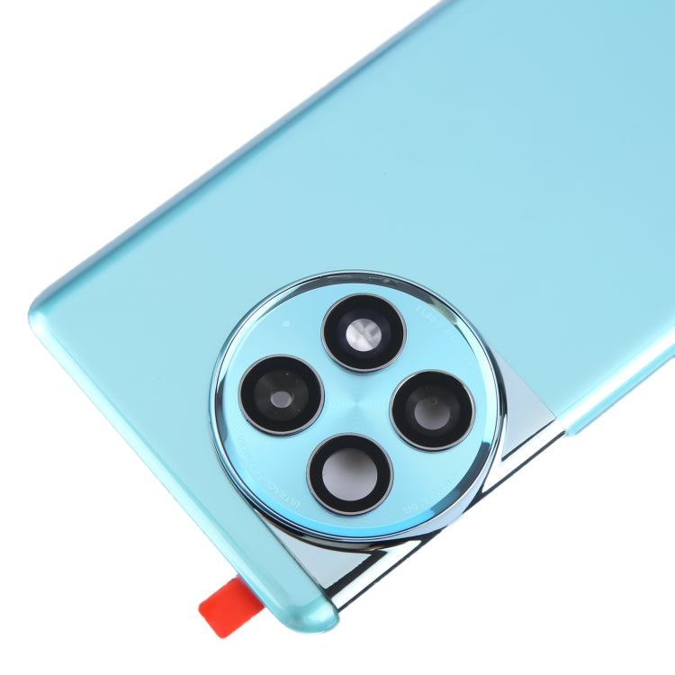 For OnePlus Ace 2 Pro PJA110 Original Glass Battery Back Cover with Camera Lens(Green)