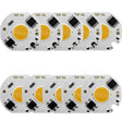 10 pcs COB LED Light Chip AC 220V LED Bulb Light Intelligent IC Driver Bulb Light DIY Spotlight Downlight Chip Outdoor Flood Light(12W(cold white)) - Light Beads by PMc TechLife | Online Shopping South Africa | PMc TechLife | Buy Now Pay Later Mobicred