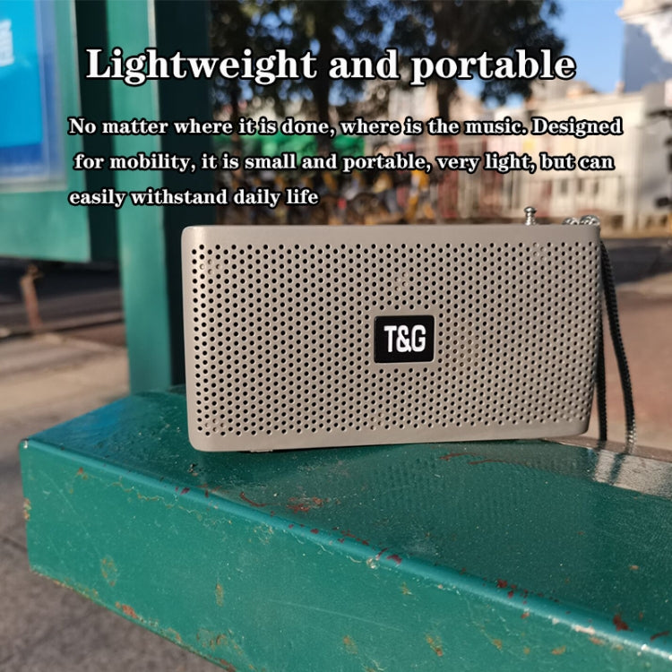 T&G TG282 Portable Bluetooth Speakers with Flashlight, Support TF Card / FM / 3.5mm AUX / U Disk / Hands-free Call(Black)