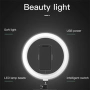 JMARY FM-536A 10 inch Ring Live Fill Light Streaming Stand Beauty Light Set