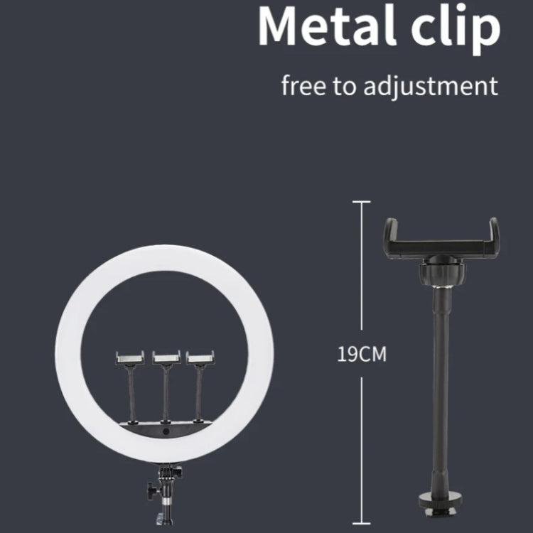 JMARY FM-21R With Remote Control Phone Clip 21-inch Dimmable LED Ring Light(US Plug)