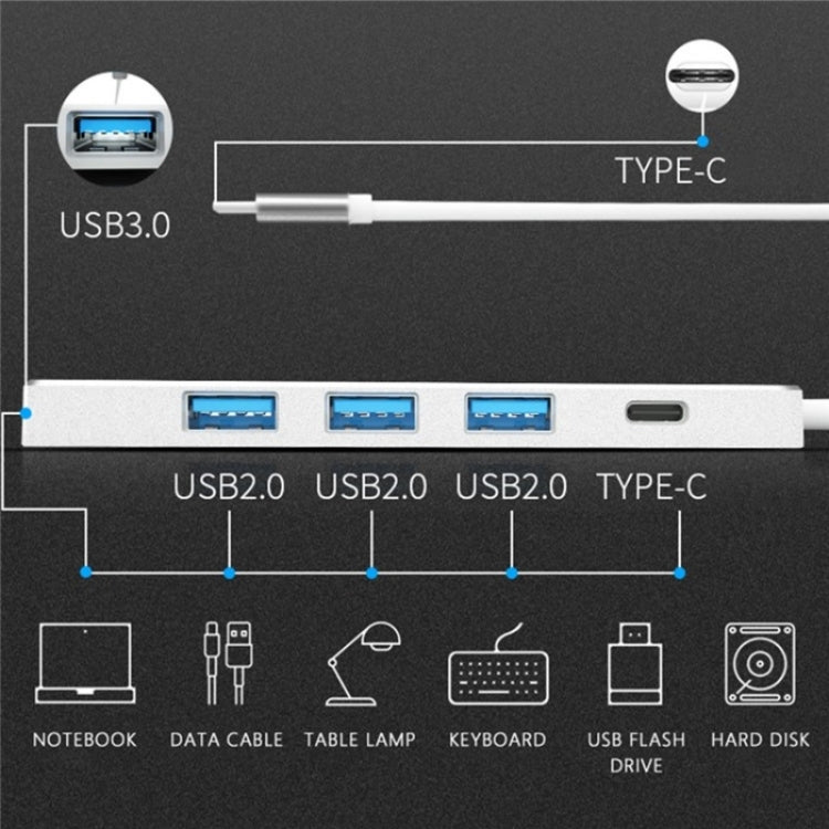 ADS-301C USB-C / Type-C to USB-C + USB 3.0 + 3 x USB 2.0 Expander HUB(Silver)