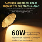 C60R 60W RGB Stage Lamp Professional Video Photography COB Fill Light With 8 Batteries, Plug:EU Plug