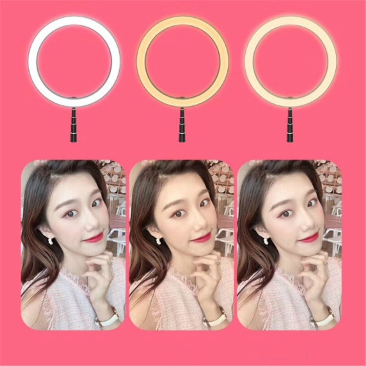 Portable Collapsible Studio-Level Professional Fill Light Mobile Phone Bracket LED Ring Light(Black)