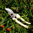 Garden Tools Stainless Steel Pruning Shears Fruit Tree Scissors Garden Branch Shears(Elbow) - Garden Hand Tools by PMC TechLife | Online Shopping South Africa | PMC TechLife