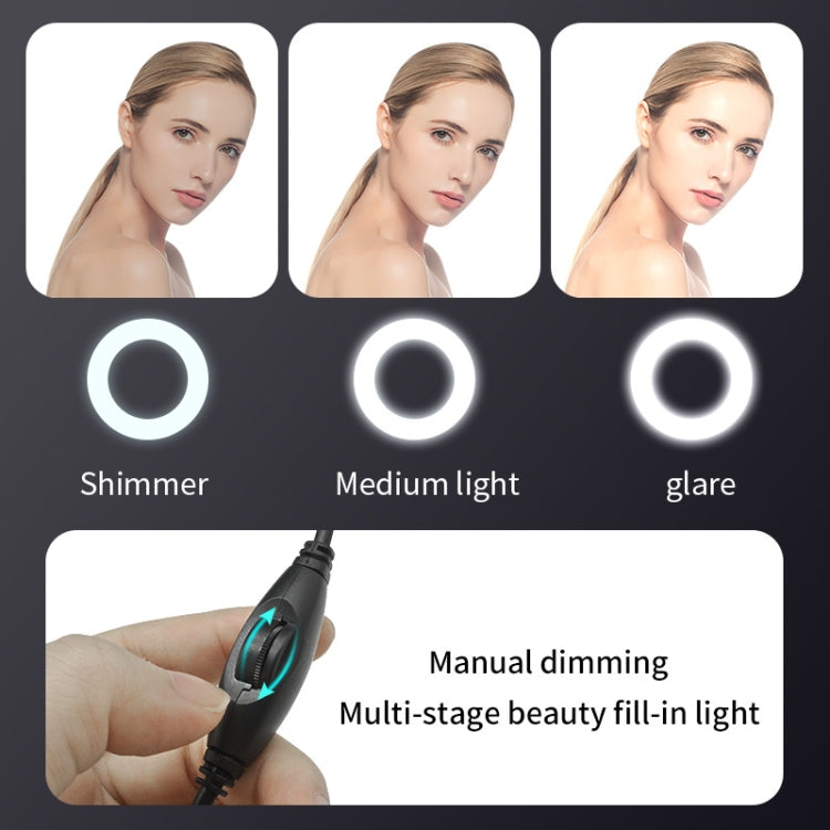A9mini USB Drive-Free HD Fill Light Camera with Microphone, Pixel: 5.0 Million Pixels 2K Auto Focus
