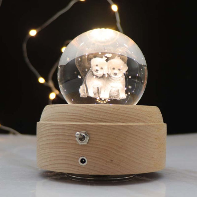 Girl Bedside Lamp Crystal Ball Wooden Base Music Box Charging Glow Rotating Night Light, Random Music(Dogs)