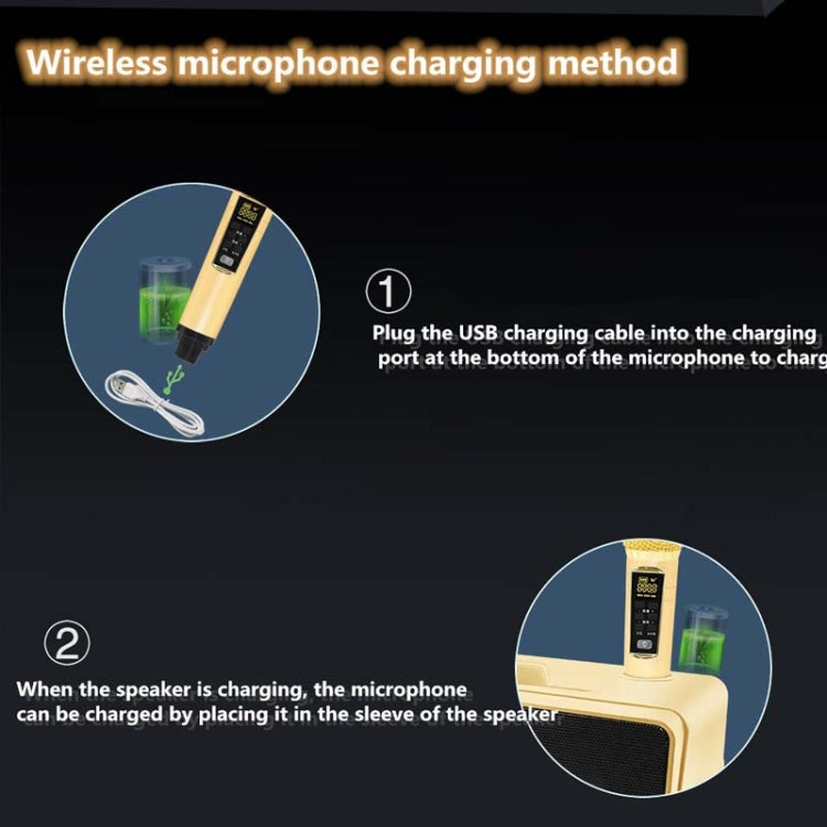 SDRD SD309 Wireless Microphone Bluetooth Audio All-In-One Machine(Golden)