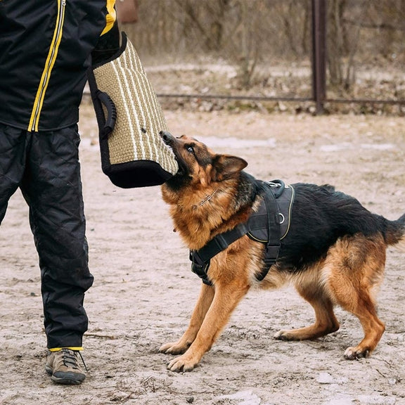 Dog Training Black-Edged Rough-Grained Jute Fluttering Sleeves Protector