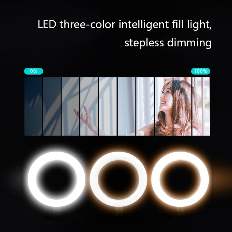 FP-10 Desktop Multi-Function Photography Support Phone Live Stand LED Fill Light, Specification: Desktop Bracket + Phone Clip