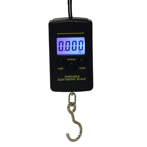 10g Mini Digital Fishing Scale Travel Weighting Steelyard Hanging Electronic Hook Scale Kitchen Weight Tool, Capacity:40kg with backlight