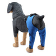 Pet Dog Leg Knee Guard Surgery Injury Protective Cover, Size: M(Blue) - Protective & Protection by PMC TechLife | Online Shopping South Africa | PMC TechLife | Buy Now Pay Later Mobicred