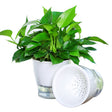 Fully Transparent Hydroponic Flower Pots Water Level Visible Non-Broken Glue Self-Absorbent Plastic Flower Pots, Size: W10 Caliber 17.5cm(Full Transparency) - Flower Pots & Planters by PMc TechLife | Online Shopping South Africa | PMc TechLife | Buy Now Pay Later Mobicred
