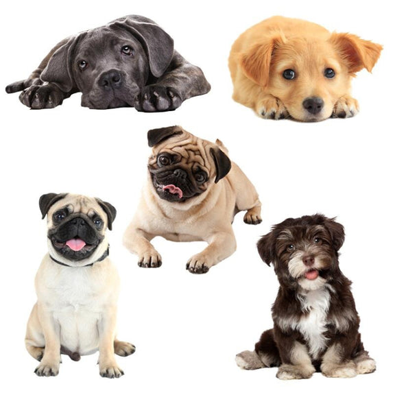 Style 2 Large 3D Simulation Dog Car Stickers Rain-Proof Sunscreen Car Sticker Scratch Shaving Decoration Stickers