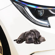 Style 2 Large 3D Simulation Dog Car Stickers Rain-Proof Sunscreen Car Sticker Scratch Shaving Decoration Stickers