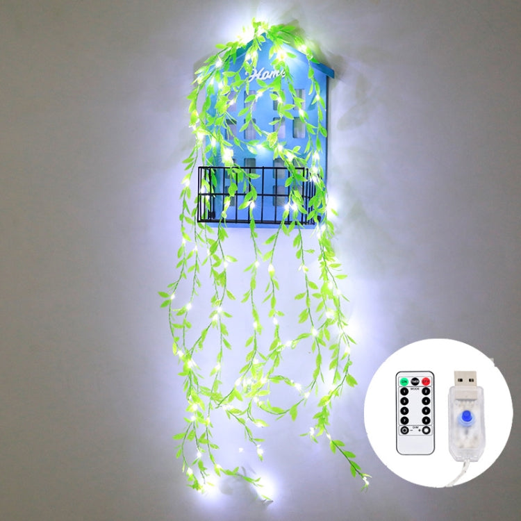 100 LEDs Simulation Planting Copper Wire Decorative Light, Spec:  USB + RC(White Light)