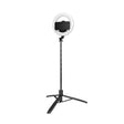 Wireless Bluetooth Selfie Stick Live Telescopic Bracket, Specification: Q05S (Black With Fill Light) - Selfie Sticks by PMC TechLife | Online Shopping South Africa | PMC TechLife | Buy Now Pay Later Mobicred