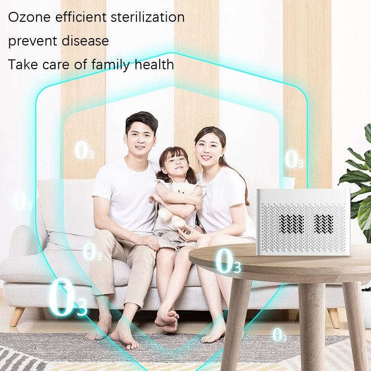 XDCM06 Vehicle Negative Ion Air Purifier(English)