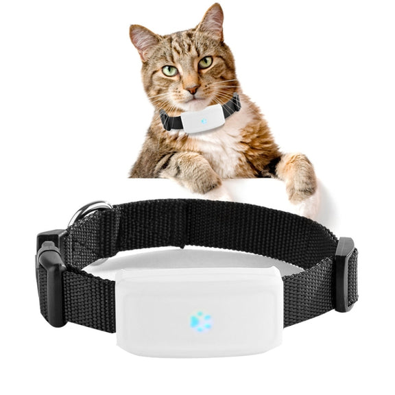 TK911 2G Pet Water-resistant GPS Tracker