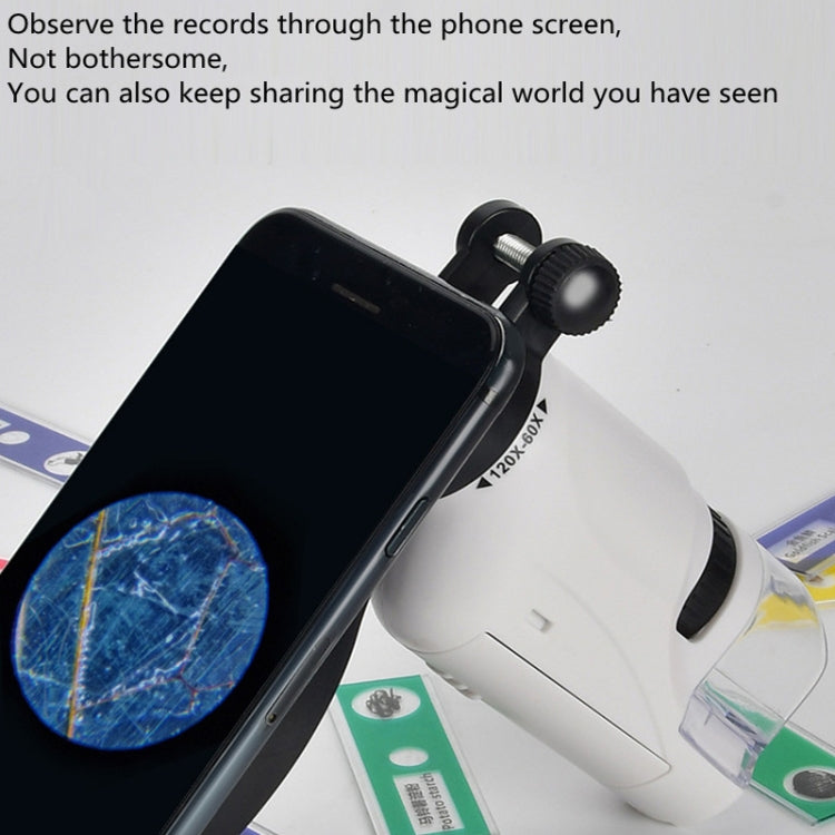 Children Handheld Portable Laboratory Equipment Microscope Toys, Colour: Lite + Bracket (White)