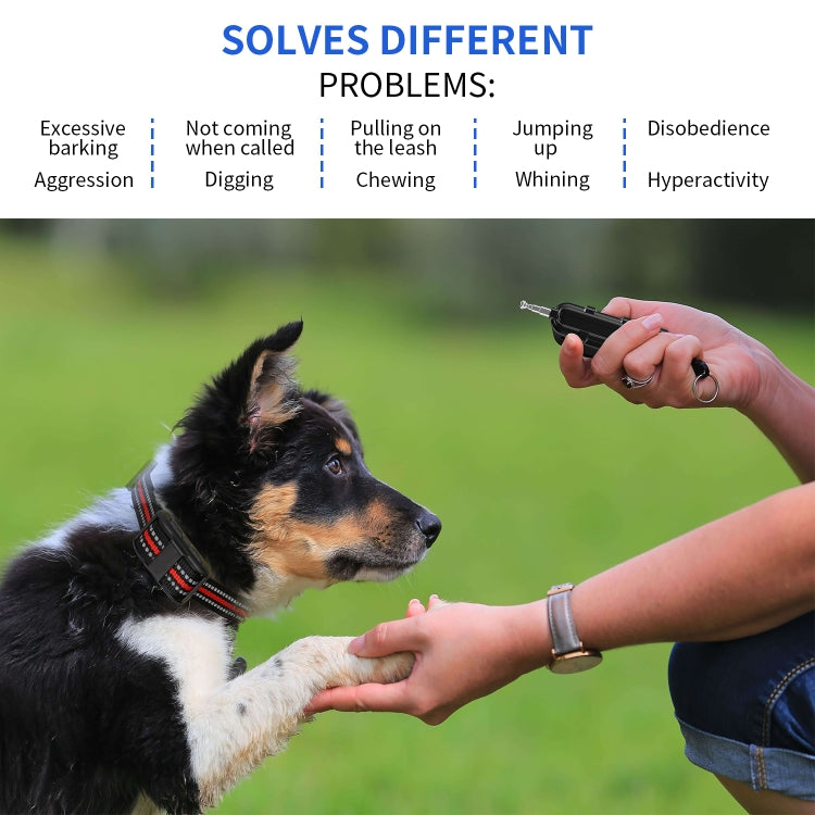 Electronic Dog Trainer Rechargeable Pet Remote Control Bark Stopper, Specification: 1 Drag 1 Red