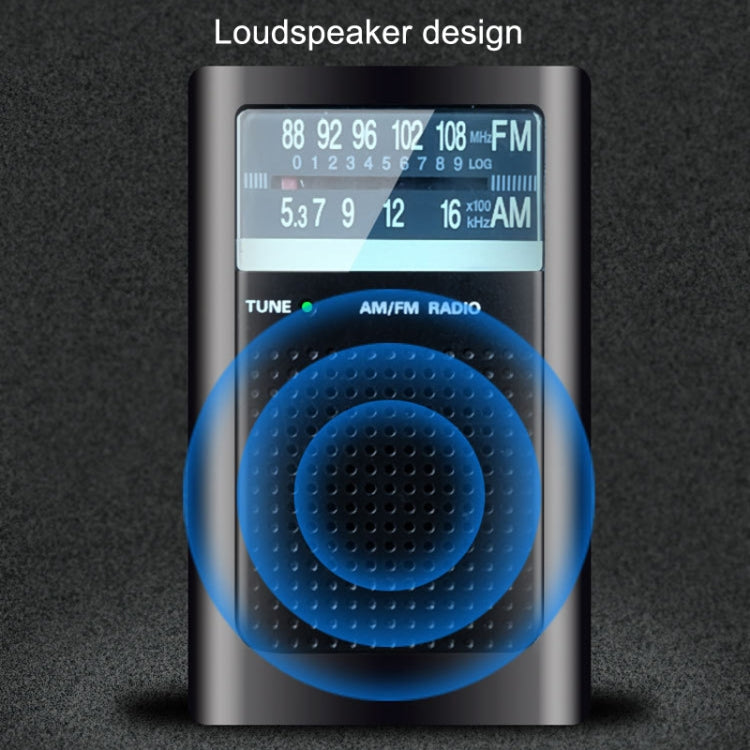 R06 Small FM/AM Pointer Frequency Adjustment Radios With Antenna Pocket Retro Radio(Black)