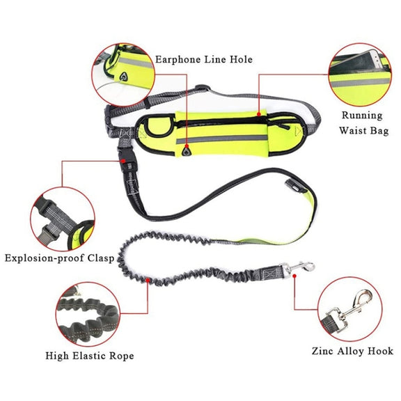 Pet Run Traction Rope Portable Waist Bag(Orange)