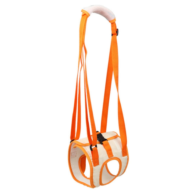 Pet Leash Assistive Belt For Postoperative Disabled Elderly Dogs Hind Legs XL
