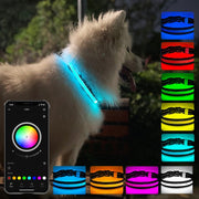 LED Rechargeable Wear-resistant and Water-resistant Pet Lighting Collar, Size: M(Black)