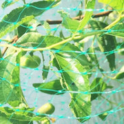 2Mx10M  Anti Bird Protection Net Mesh Garden Plant Netting Protect Plants and Fruit