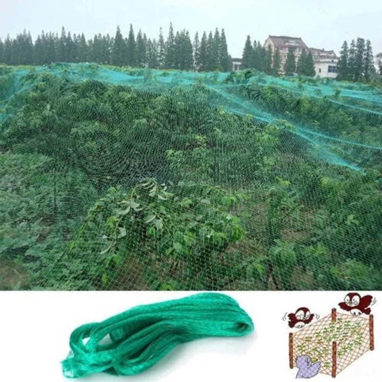 5Mx20M  Anti Bird Protection Net Mesh Garden Plant Netting Protect Plants and Fruit