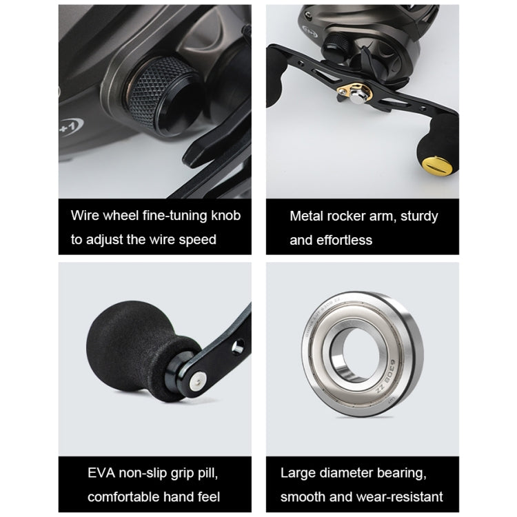 High Speed Long-throw Outdoor Fishing Anti-explosive Line Fishing Reels, Specification: AC2000 Purple Right