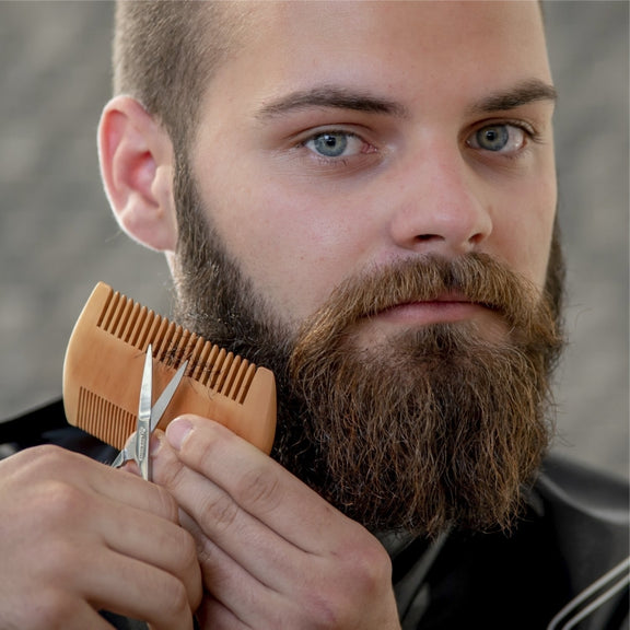 TW-BC90 Beard Wooden Comb Beard Shape Double-Sided Comb With PU Leather Case