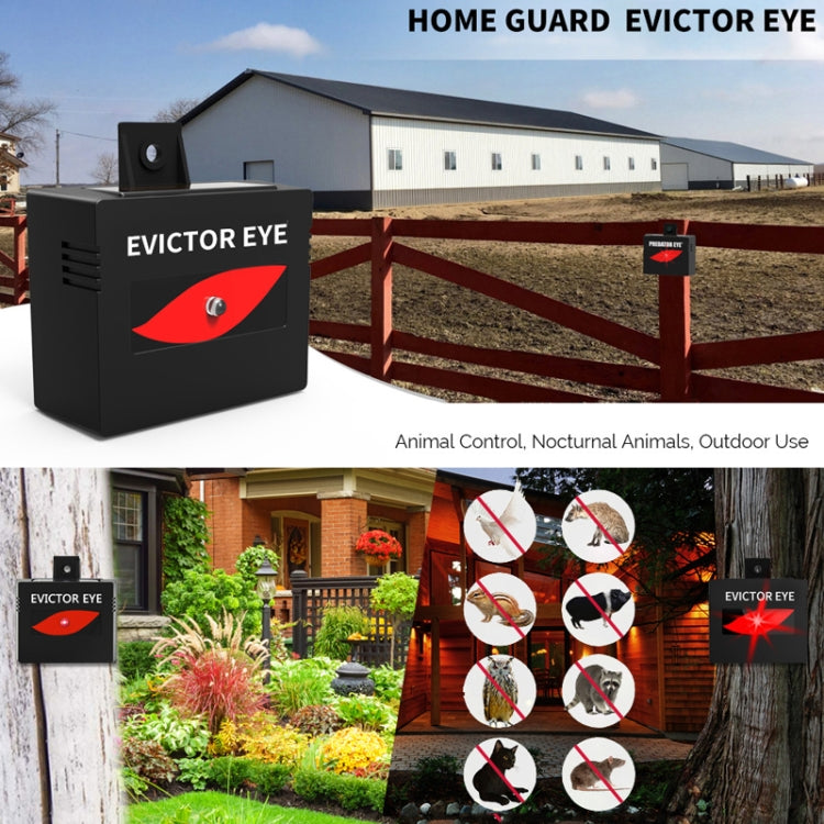 SK191 1pc Solar Farm Wild Eagle Eye Animal Repeller