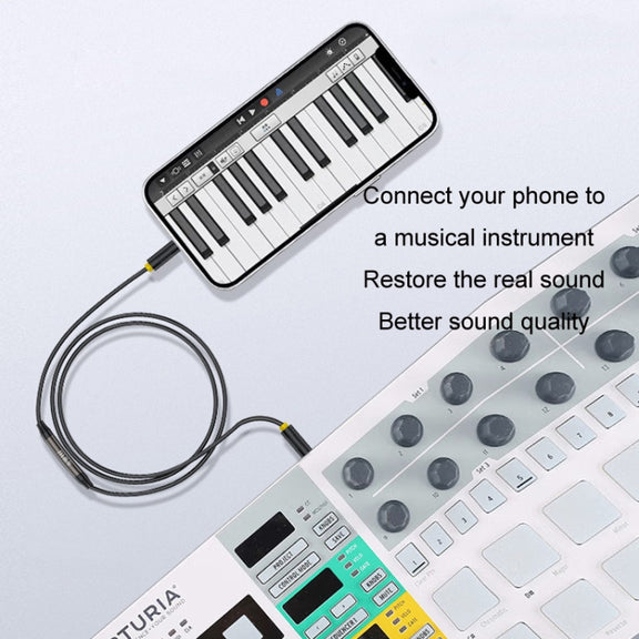 1m JINGHUA 3.5mm Cable Audio Conversion Microphone Two-way Transcriber