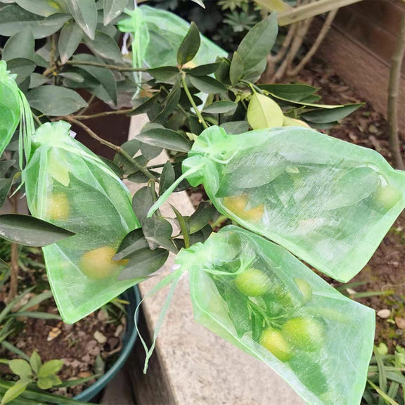 100pcs /Pack  Fruit Protection Bag Anti-Insect And Anti-Bird Net Bag 15 x 20cm(White)