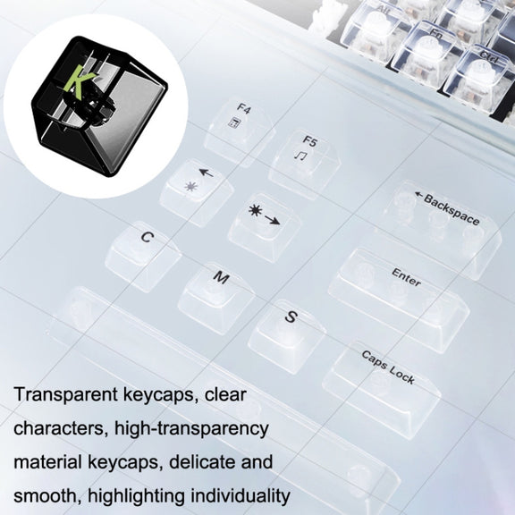 100 Keys Customized Gaming Wired Mechanical Keyboard Transparent Keycap Green Shaft (Black)
