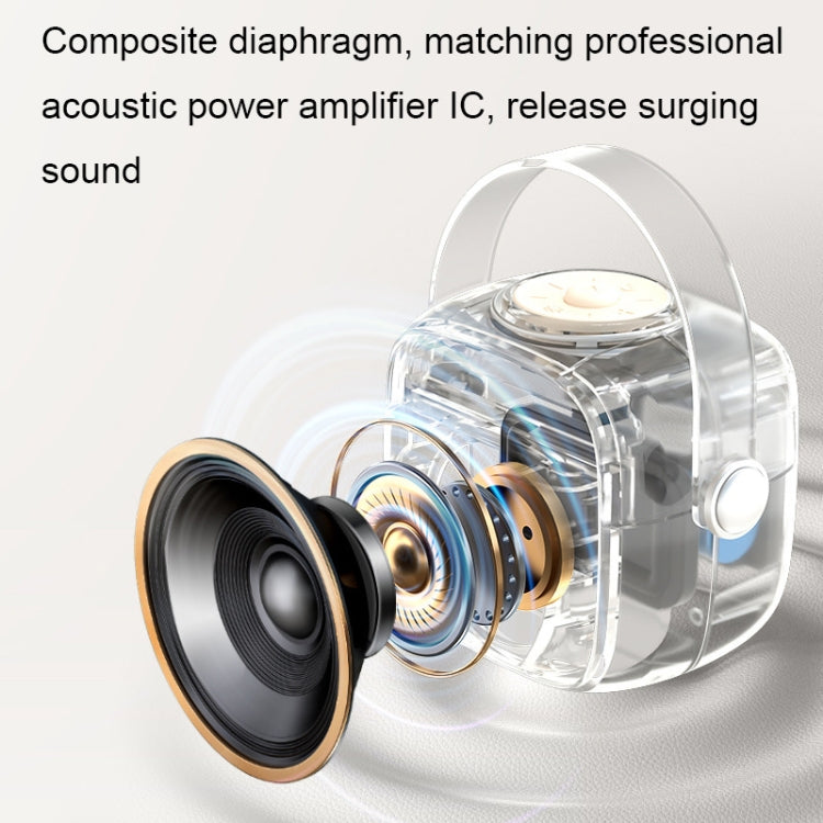 Havit P1 Portable Singing Home Wireless Bluetooth Speaker Microphone Set, Style: Dual-microphone