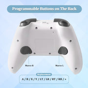 N2 Wireless 2.4G Controller Gamepad For Xbox One/One S/One X/Series S/Series X/PC Windows(Comic Boy)