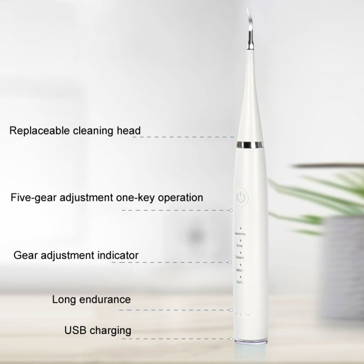 Electric Dental Scaler Accessories Replacement Head, Color: 5pcs Toothbrush Head Black