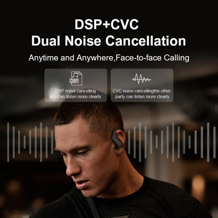 TWS Ear-mounted Noise Reduction LED Dual-battery Display Bluetooth Earphones(T17 Black)